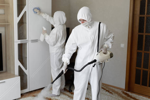 24/7 Emergency Odor Removal experts in Roanoke, VA