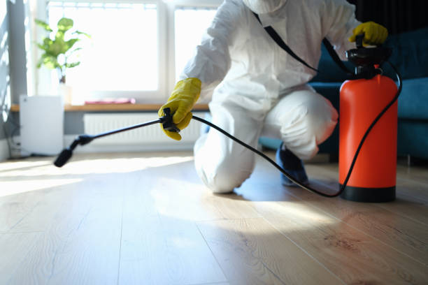 Reliable Odor Removal contractor in Roanoke, VA by Trauma Clean Pros